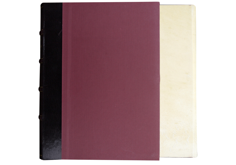 Pelegrino vida-Digudeville-Mazuelo-Mayer-Incunabula & Ancient Books-facsimile book-Vicent García Editores-10 Dust cover